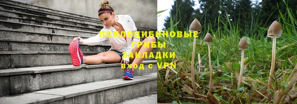 метадон Медвежьегорск