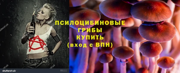 прущая мука Медногорск