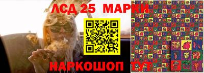 гидропоника Волгодонск