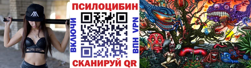 Галлюциногенные грибы мицелий Красноярск
