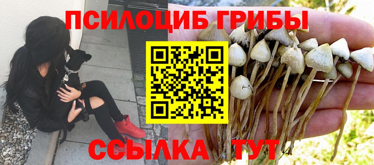 Псилоцибиновые грибы GOLDEN TEACHER  Вход с VPN  Красноярск 