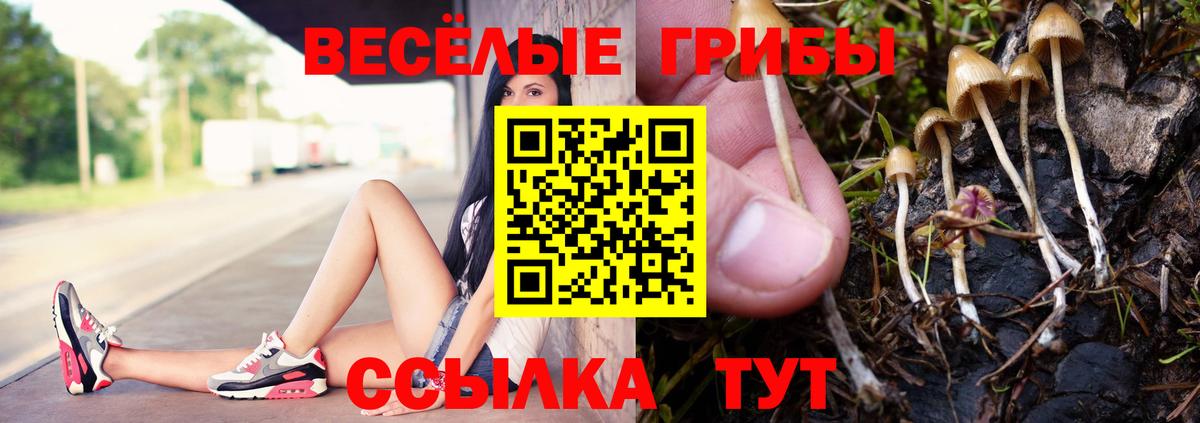 Псилоцибиновые грибы Psilocybe  Галлюциногенные грибы прущие грибы  где можно купить наркотик  Красноярск 